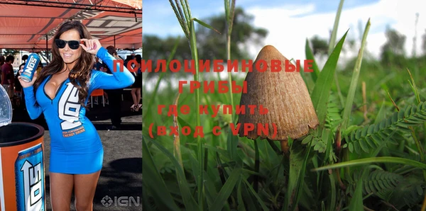 ALPHA PVP Богородицк